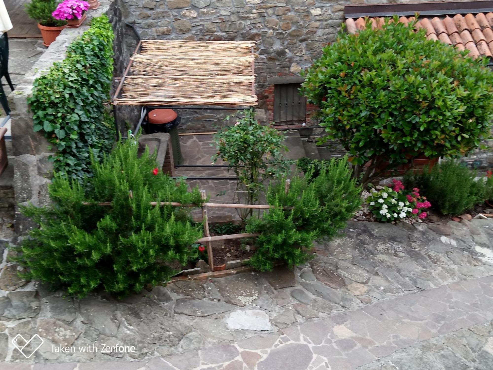 Agriturismo Ristoro Del Cavaliere Villa Piazza al Serchio Eksteriør bilde